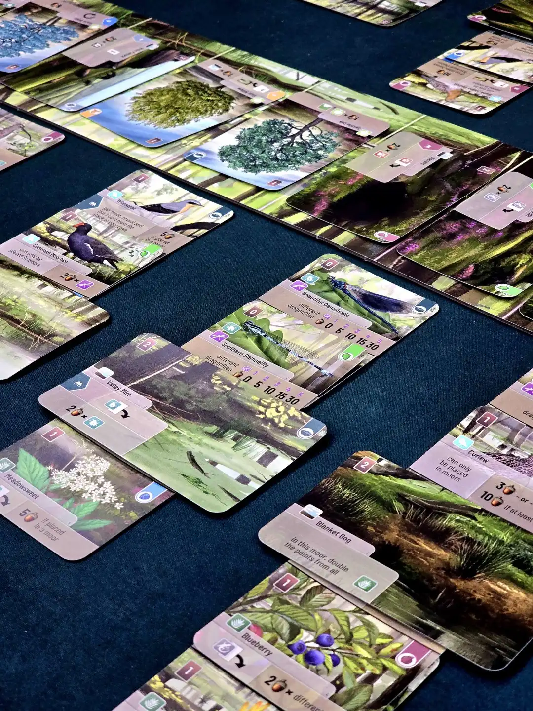 Shuffling the moorlands