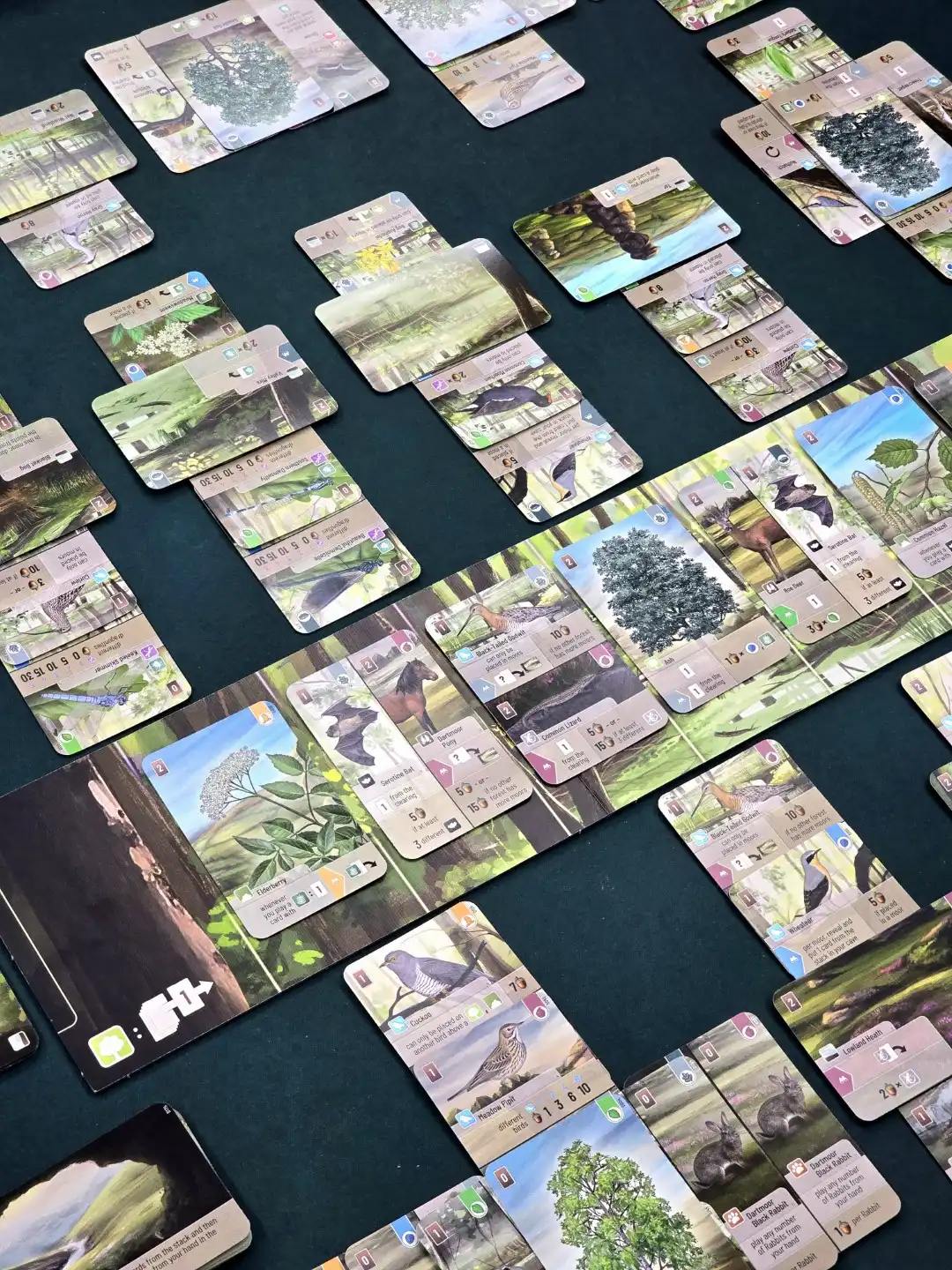 Shuffling the moorlands