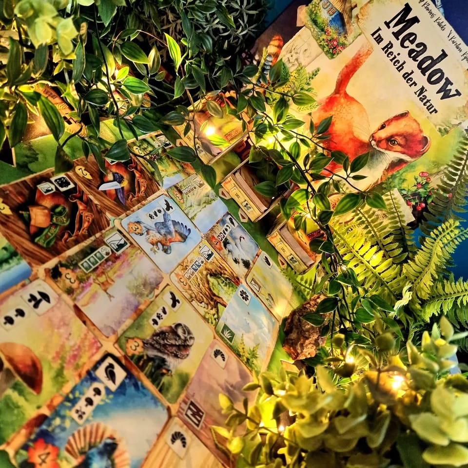 Hiking and nature in board game form